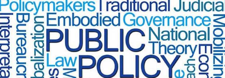 wordcloud_politici_publice
